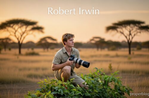 Robert Irwin